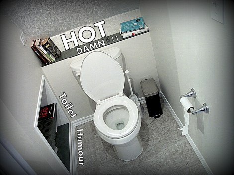 This glorious bathroom?  I built it.  No, seriously.  I will never do such a thing again, but I built this son of a bitch!